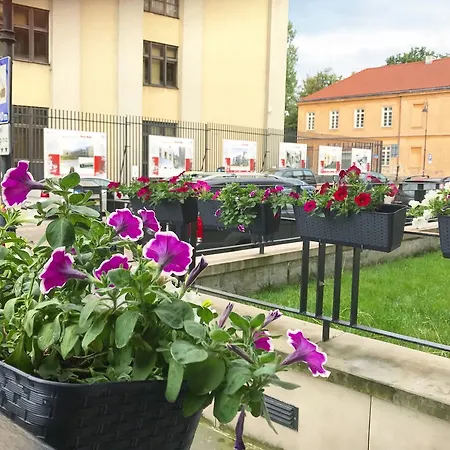 Хостел Greenwood Centrum *